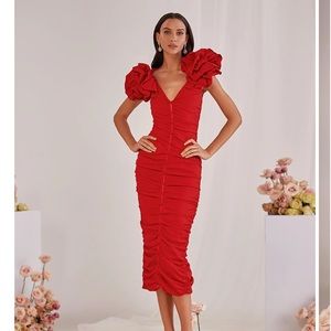 NWT Red Alamour the Label Dress